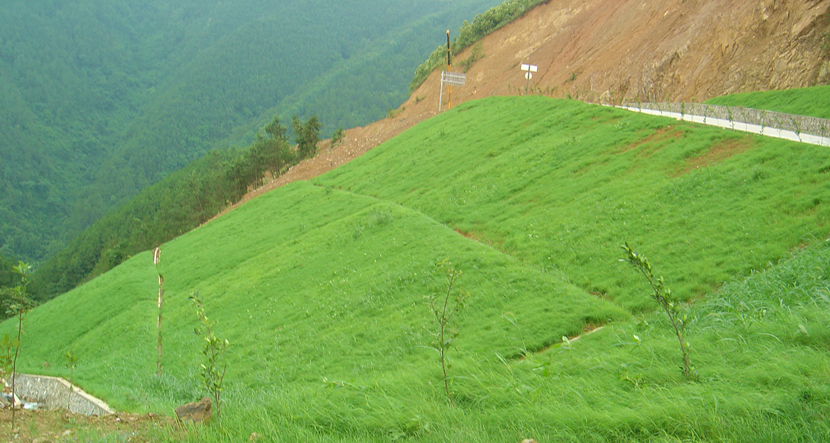 廣東·樂昌峽水利樞紐發電廠及引水工程