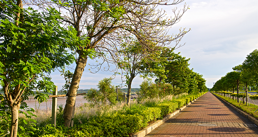 珠?！こ鞘芯G化景觀提升工程